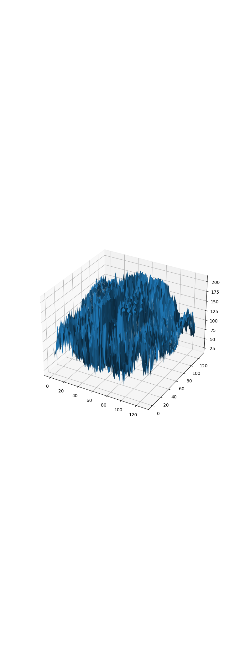 3D surface plot of the image signal